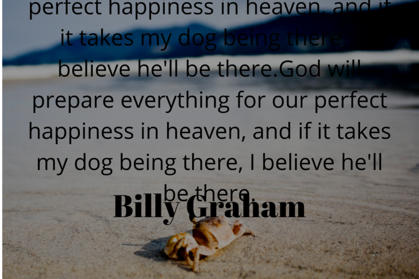 Billy Graham Devotional — March 26 2024 Daily Inspirational devotionals